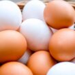 Importancia del huevo en la salud humana